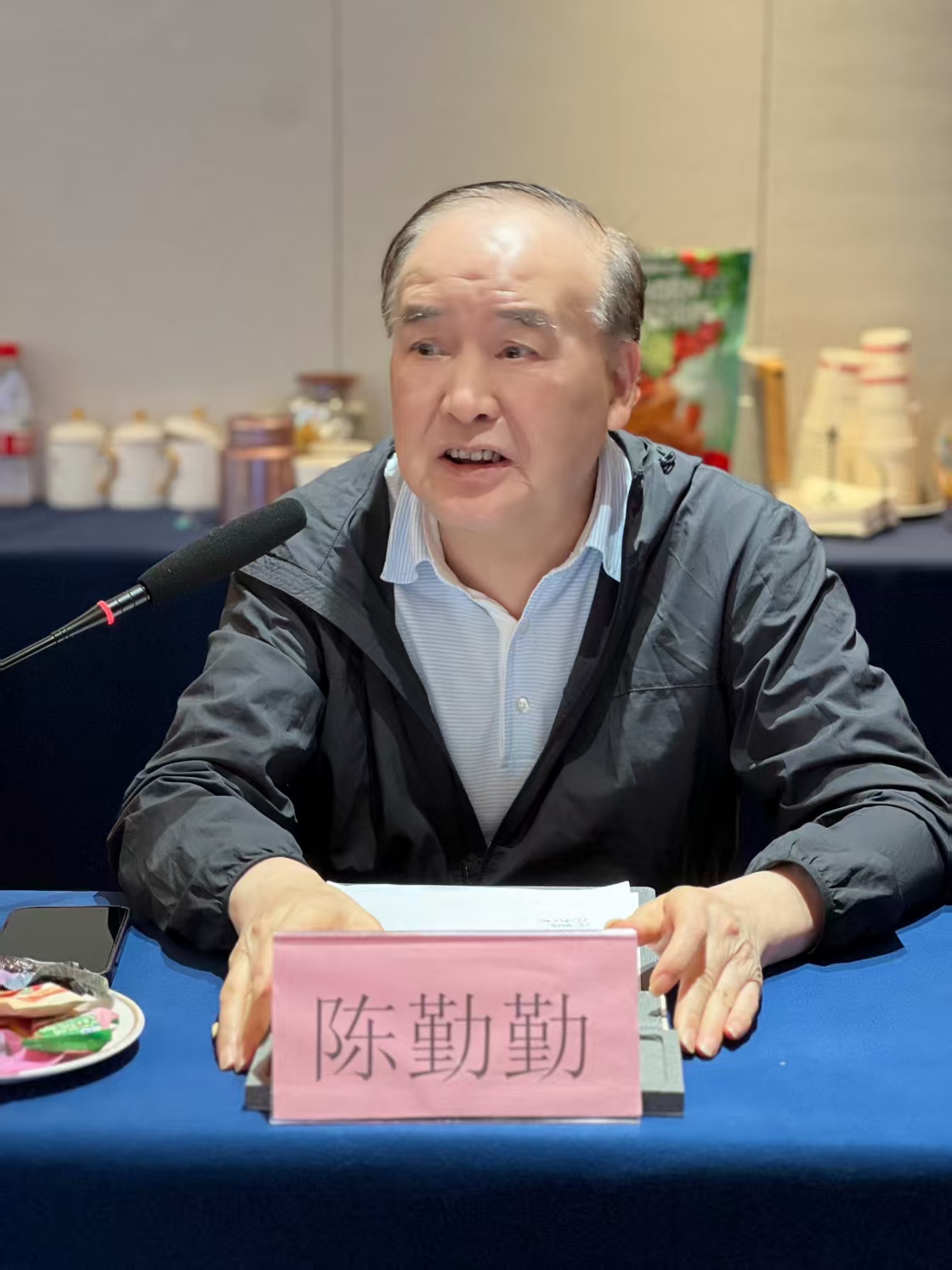 陈勤勤.jpg